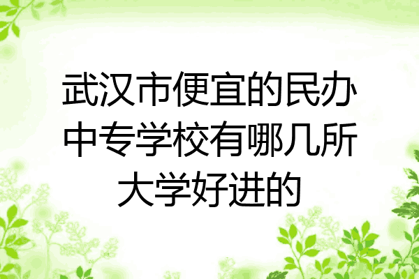 武汉市便宜的民办中专学校有哪几所大学好进的