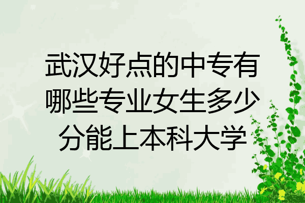 武汉好点的中专有哪些专业女生多少分能上本科大学