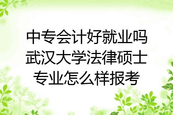 中专会计好就业吗武汉大学法律硕士专业怎么样报考