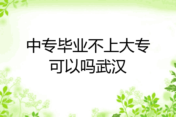 中专毕业不上大专可以吗武汉