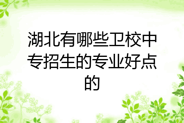 湖北有哪些卫校中专招生的专业好点的