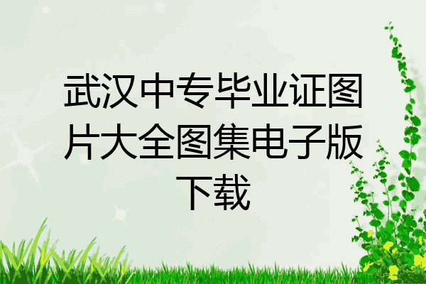 武汉中专毕业证图片大全图集电子版下载
