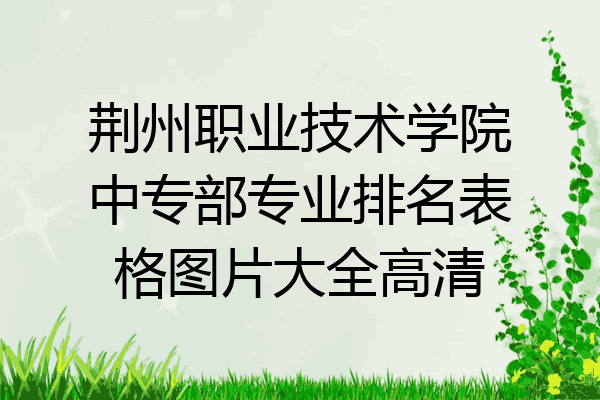 荆州职业技术学院中专部专业排名表格图片大全高清