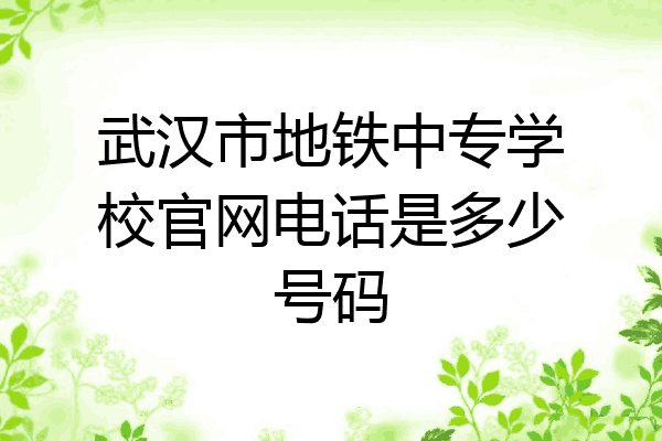 武汉市地铁中专学校官网电话是多少号码