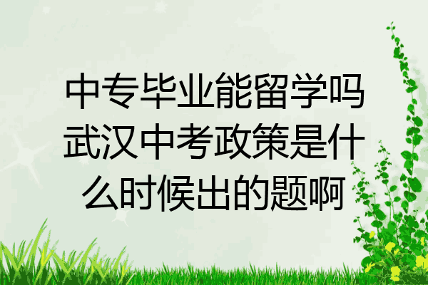 中专毕业能留学吗武汉中考政策是什么时候出的题啊