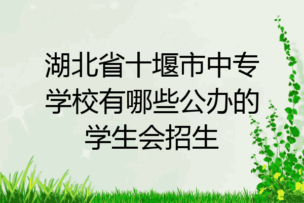 湖北省十堰市中专学校有哪些公办的学生会招生