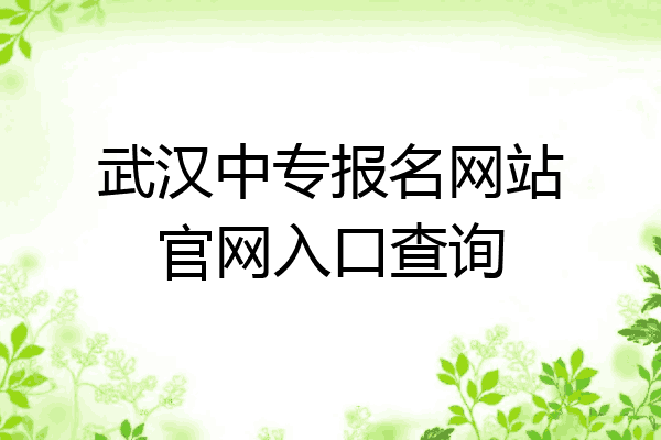 武汉中专报名网站官网入口查询