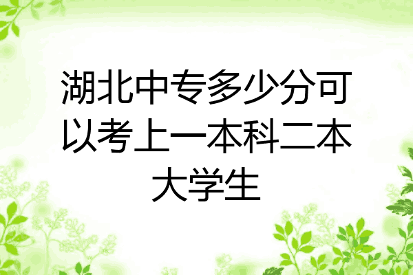 湖北中专多少分可以考上一本科二本大学生