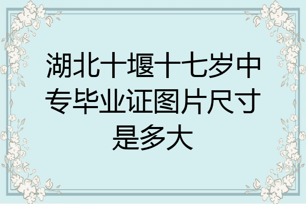 湖北十堰十七岁中专毕业证图片尺寸是多大