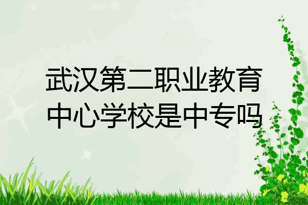 武汉第二职业教育中心学校是中专吗