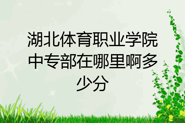 湖北体育职业学院中专部在哪里啊多少分