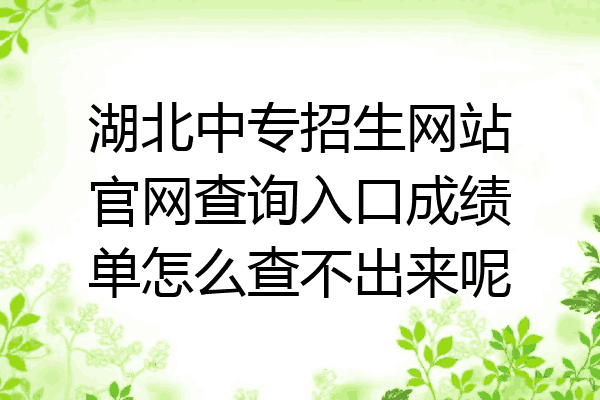湖北中专招生网站官网查询入口成绩单怎么查不出来呢