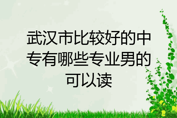 武汉市比较好的中专有哪些专业男的可以读