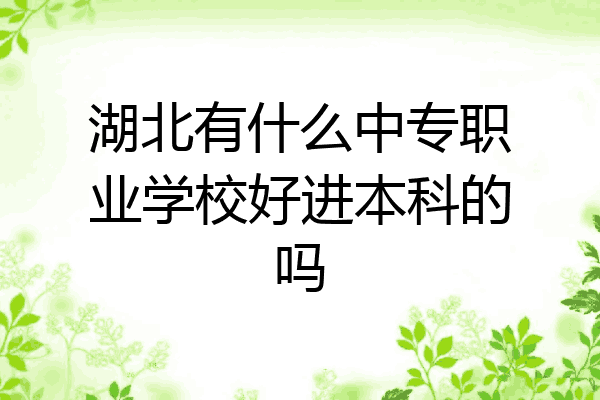 湖北有什么中专职业学校好进本科的吗
