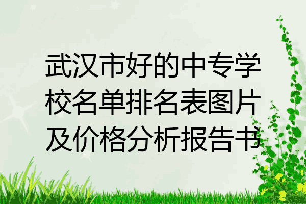 武汉市好的中专学校名单排名表图片及价格分析报告书