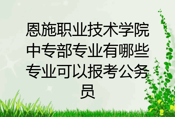 恩施职业技术学院中专部专业有哪些专业可以报考公务员