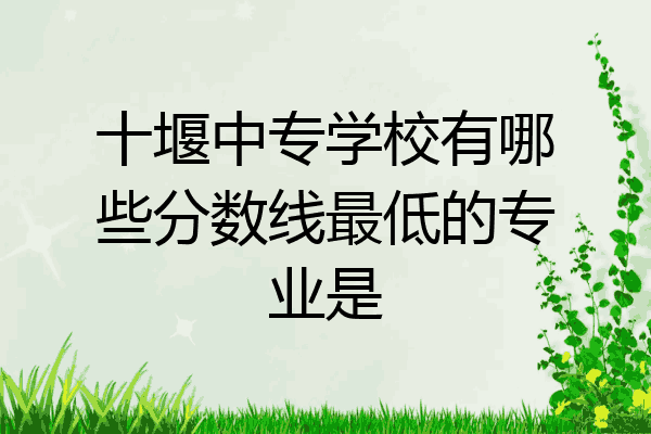 十堰中专学校有哪些分数线最低的专业是