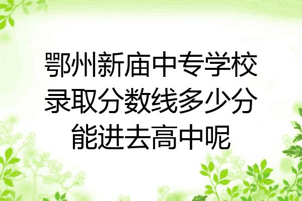 鄂州新庙中专学校录取分数线多少分能进去高中呢