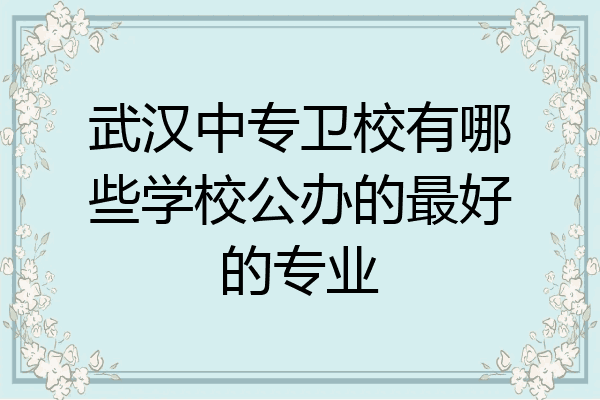 武汉中专卫校有哪些学校公办的最好的专业