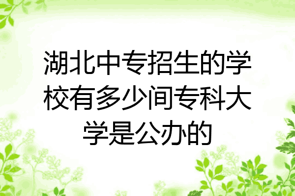 湖北中专招生的学校有多少间专科大学是公办的