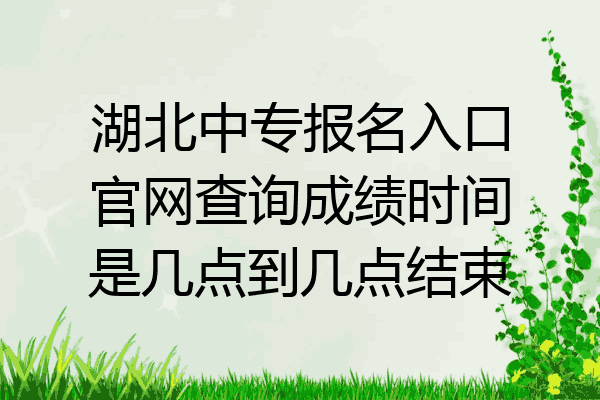 湖北中专报名入口官网查询成绩时间是几点到几点结束