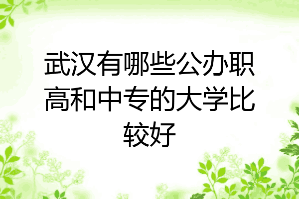 武汉有哪些公办职高和中专的大学比较好