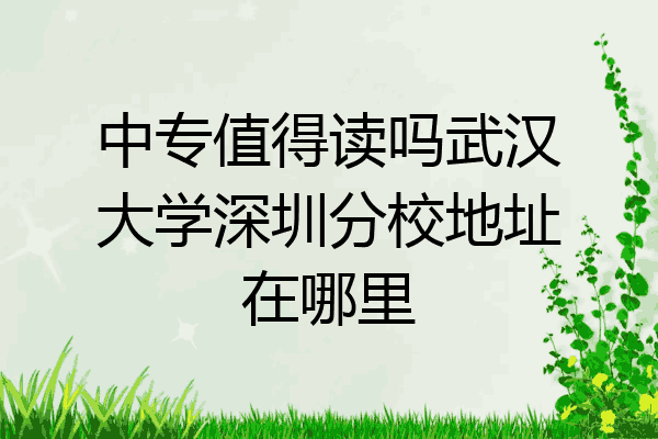 中专值得读吗武汉大学深圳分校地址在哪里