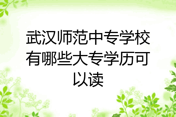 武汉师范中专学校有哪些大专学历可以读