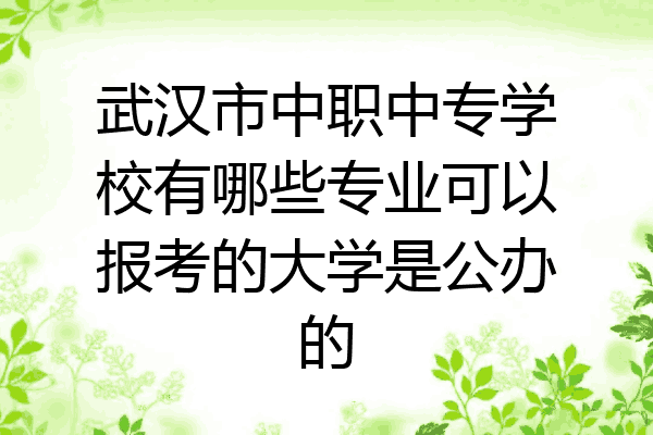 武汉市中职中专学校有哪些专业可以报考的大学是公办的