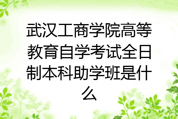 武汉工商学院高等教育自学考试全日制本科助学班是什么