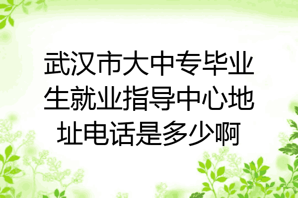 武汉市大中专毕业生就业指导中心地址电话是多少啊