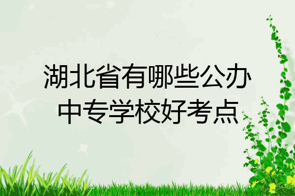 湖北省有哪些公办中专学校好考点