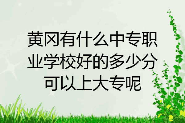黄冈有什么中专职业学校好的多少分可以上大专呢