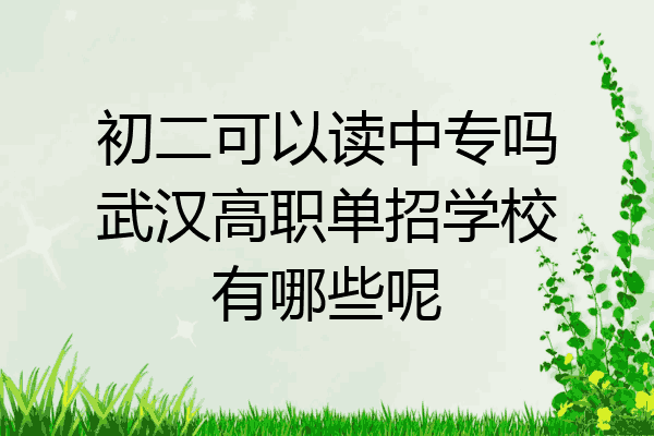 初二可以读中专吗武汉高职单招学校有哪些呢