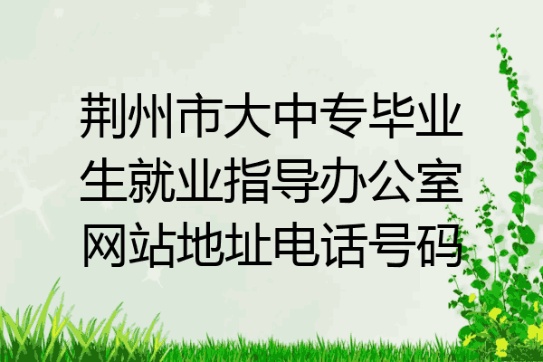荆州市大中专毕业生就业指导办公室网站地址电话号码