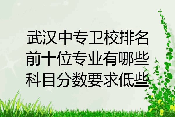 武汉中专卫校排名前十位专业有哪些科目分数要求低些