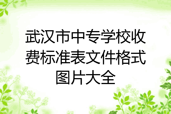 武汉市中专学校收费标准表文件格式图片大全