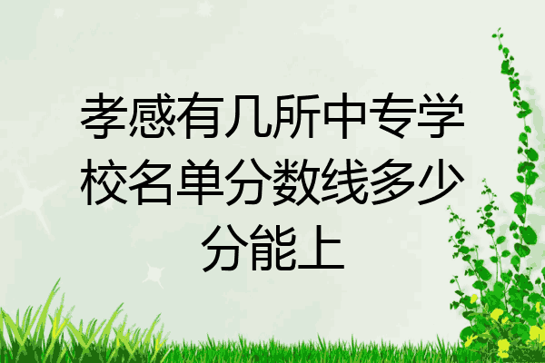 孝感有几所中专学校名单分数线多少分能上