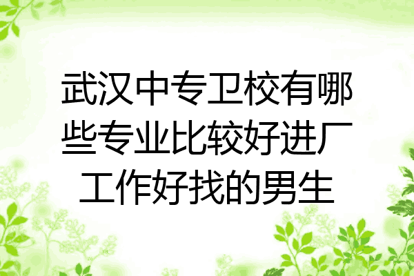 武汉中专卫校有哪些专业比较好进厂工作好找的男生
