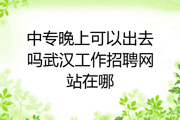 中专晚上可以出去吗武汉工作招聘网站在哪