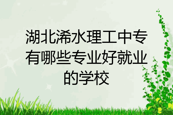 湖北浠水理工中专有哪些专业好就业的学校