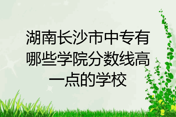 湖南长沙市中专有哪些学院分数线高一点的学校