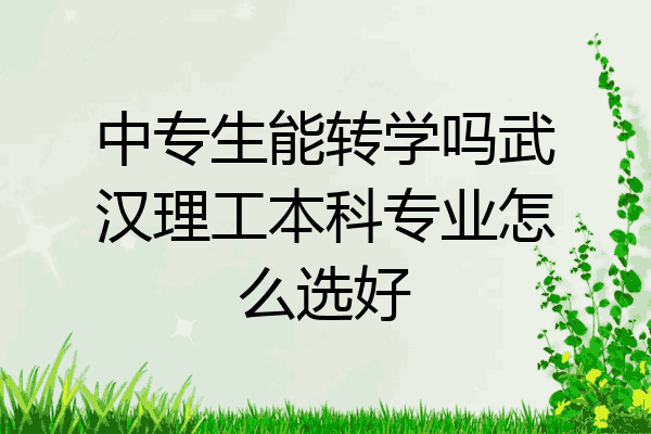 中专生能转学吗武汉理工本科专业怎么选好