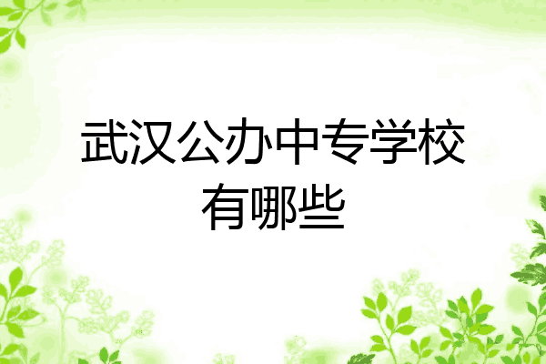 武汉公办中专学校有哪些