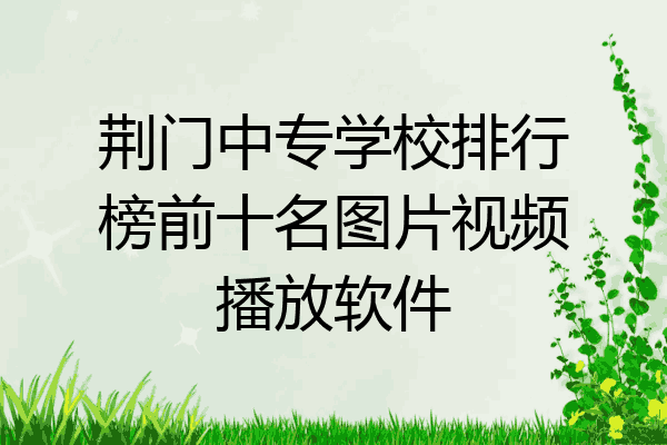 荆门中专学校排行榜前十名图片视频播放软件