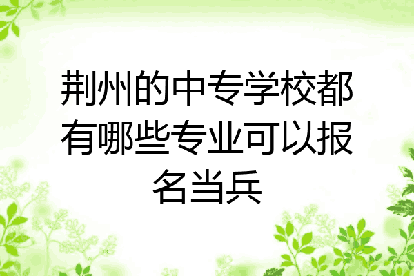 荆州的中专学校都有哪些专业可以报名当兵