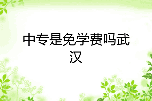 中专是免学费吗武汉