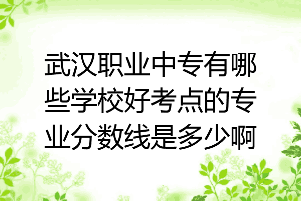 武汉职业中专有哪些学校好考点的专业分数线是多少啊