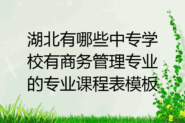 湖北有哪些中专学校有商务管理专业的专业课程表模板