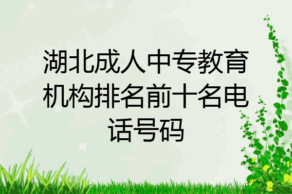 湖北成人中专教育机构排名前十名电话号码